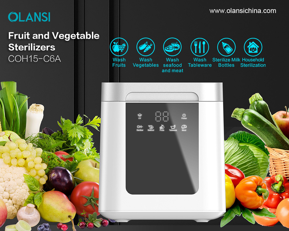 미국과 캐나다의 가정용 최고의 초음파 오존 과일 및 야채 세탁기 청소 기계 및 야채 과일 살균기 클리너 세탁기 세탁기