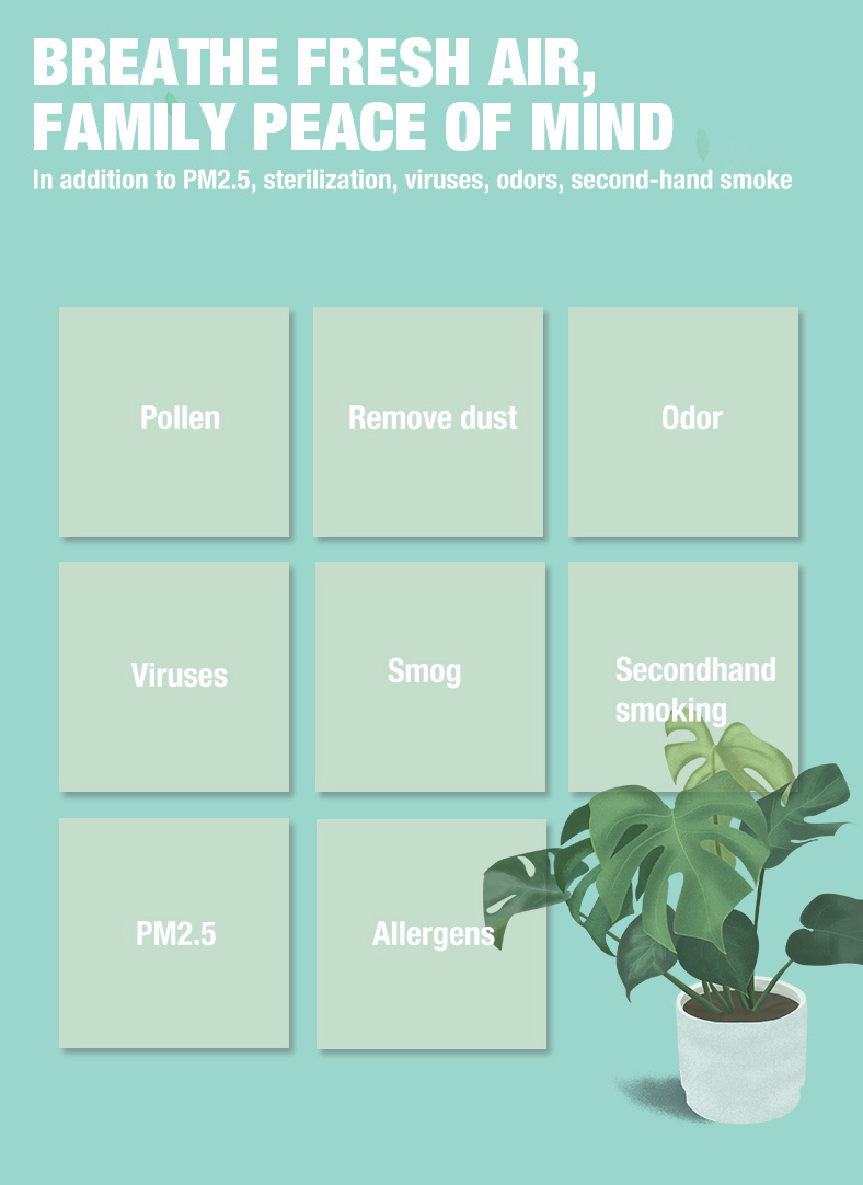 Olansi A4 Pro 데스크탑 공기 청정기 (3)