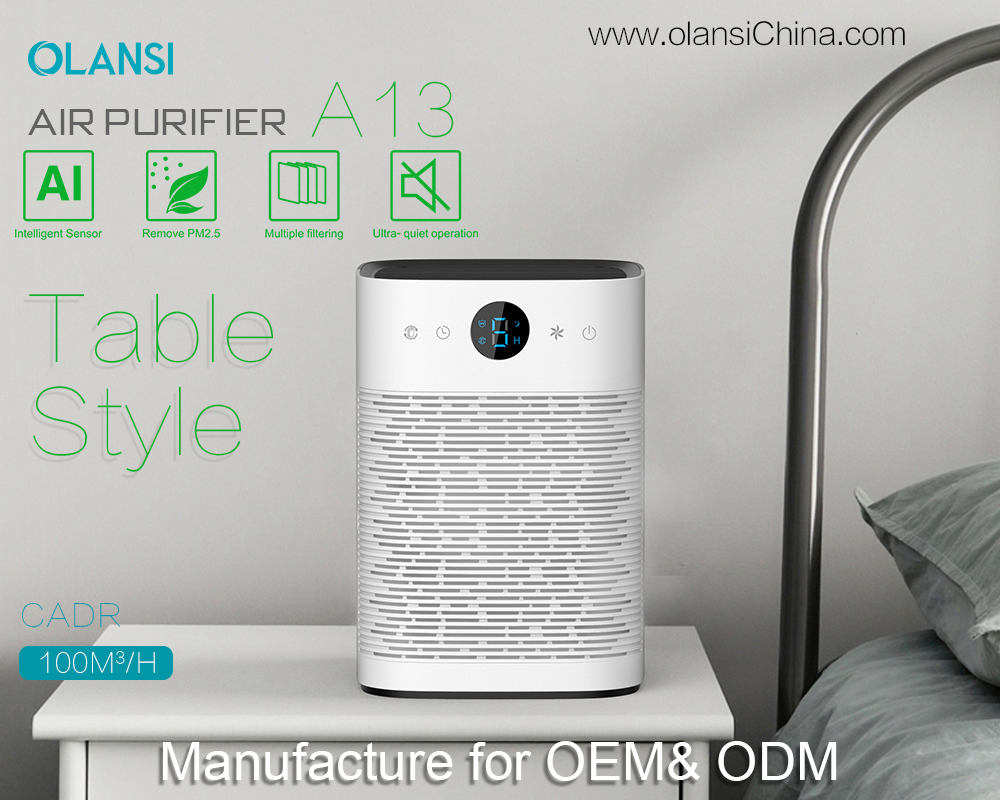 올란시 공기청정기 공급업체 (5)