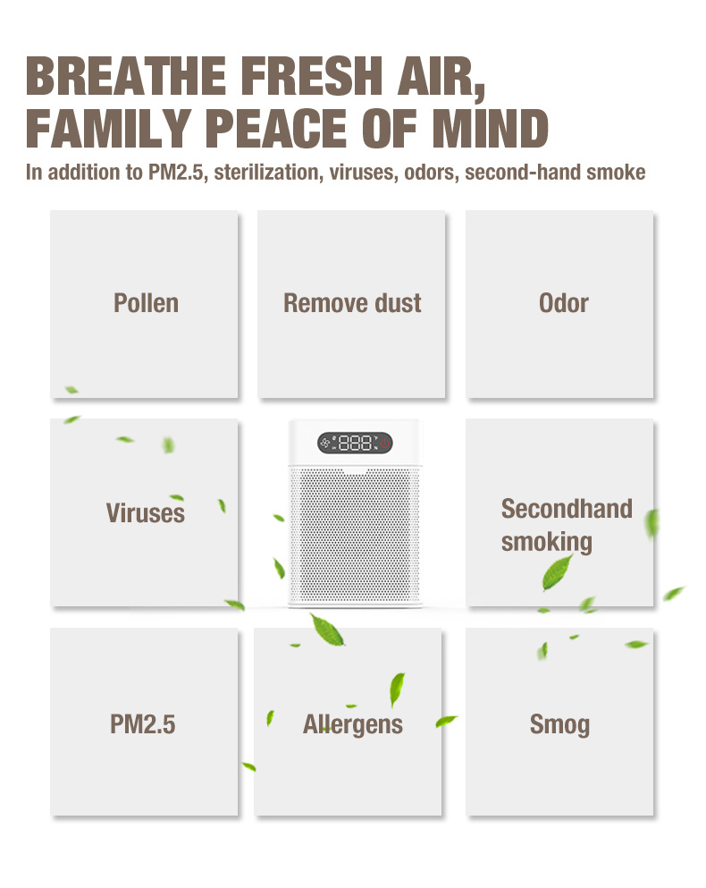 올랜시아 A1 공기 청정기 공급자 (6)